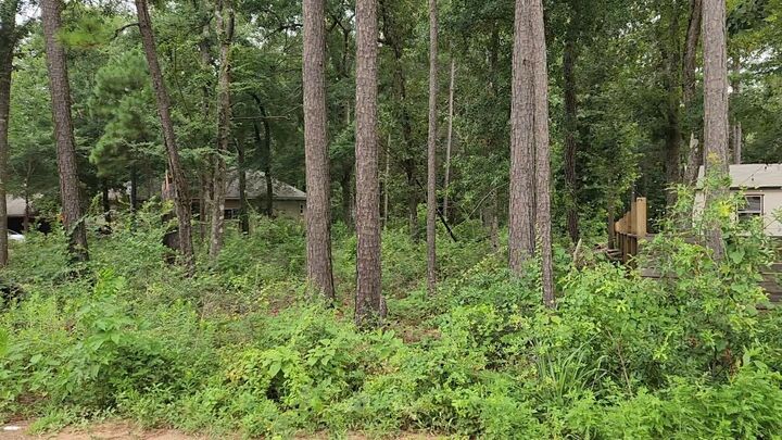 Property Photo: Lot 38 White Oak Drive TX 77363