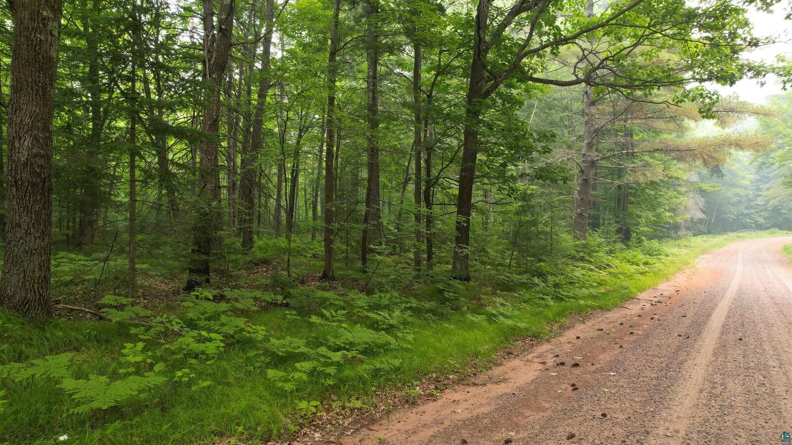 Property Photo:  Tbd N Loop Rd  WI 54832 