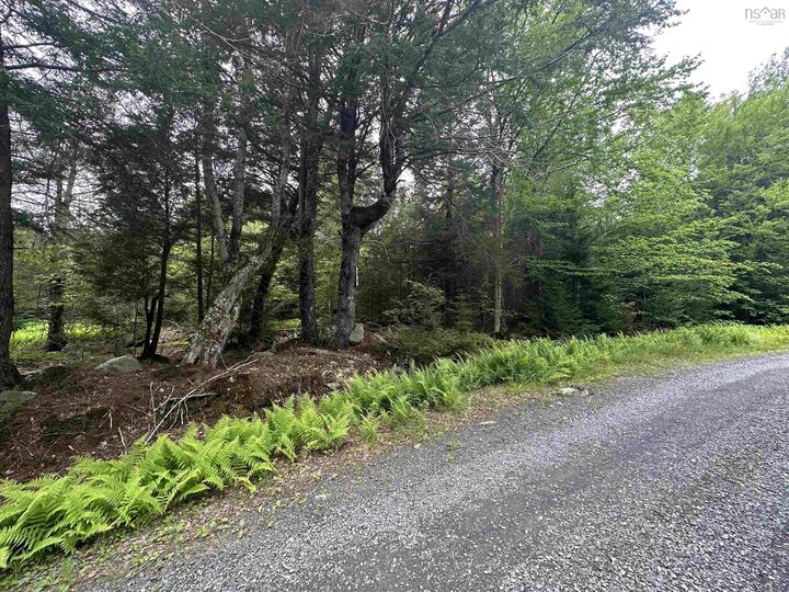 Lot 35-Wa Joseph Street — photo 1