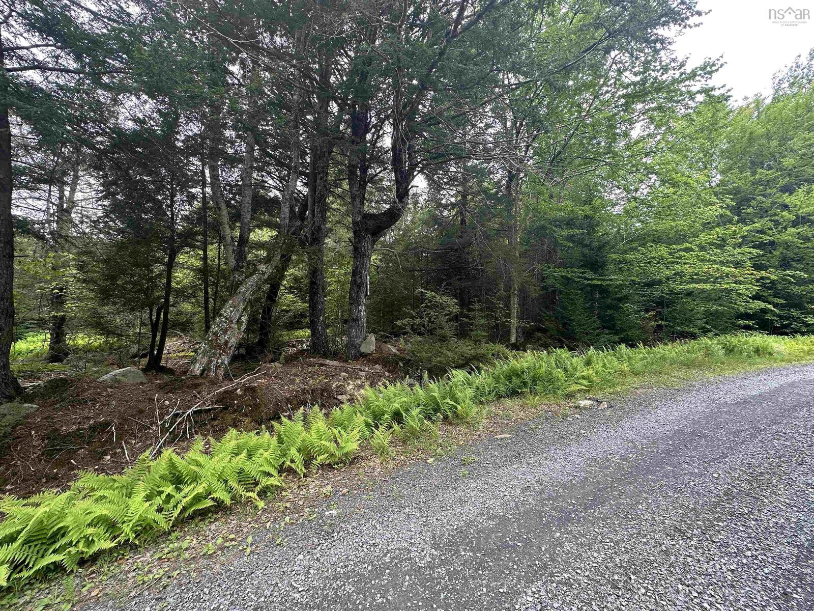 Property Photo:  Lot 35-Wa Joseph Street  NS B0T 1E0 