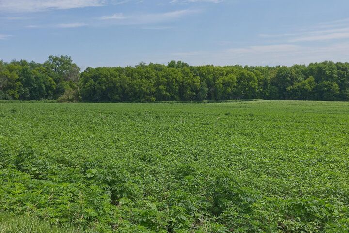 Property Photo:  Tbd2 Ingram Avenue SW  MN 55349 