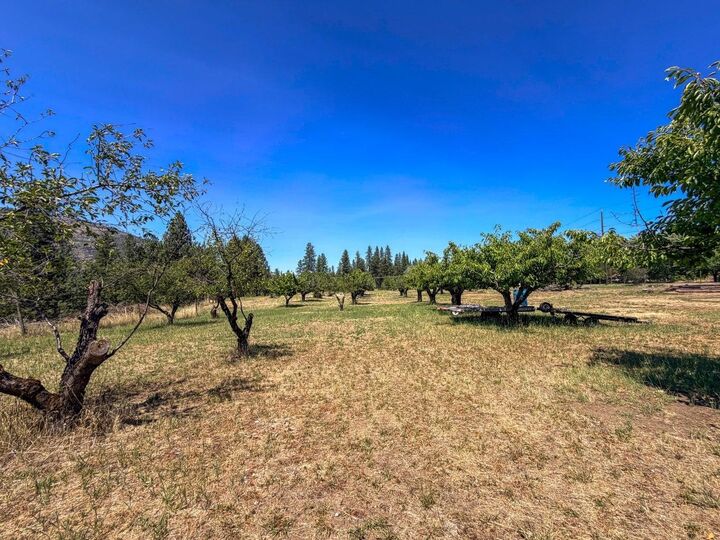 Property Photo:  1250 Peachcrest Rd  WA 99141 