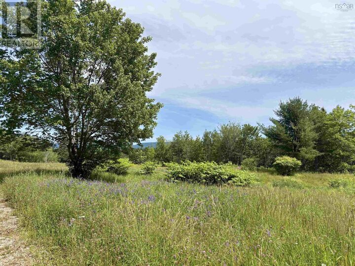 Property Photo: 1629 West Side Middle River NS B0E 1B0