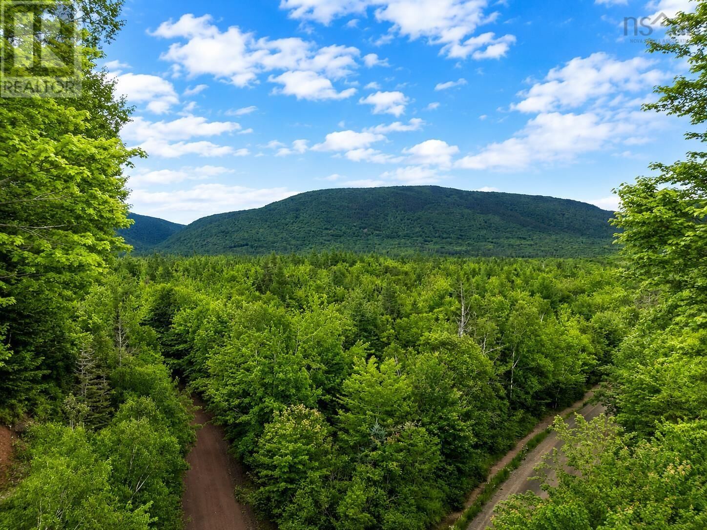 Property Photo:  0 Mt.pleasant Big Brook Rd.  NS B0E 2H0 