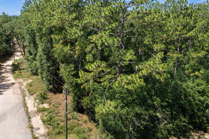 Property Photo:  Parcel A Willow Lane Parcel A  FL 32539 