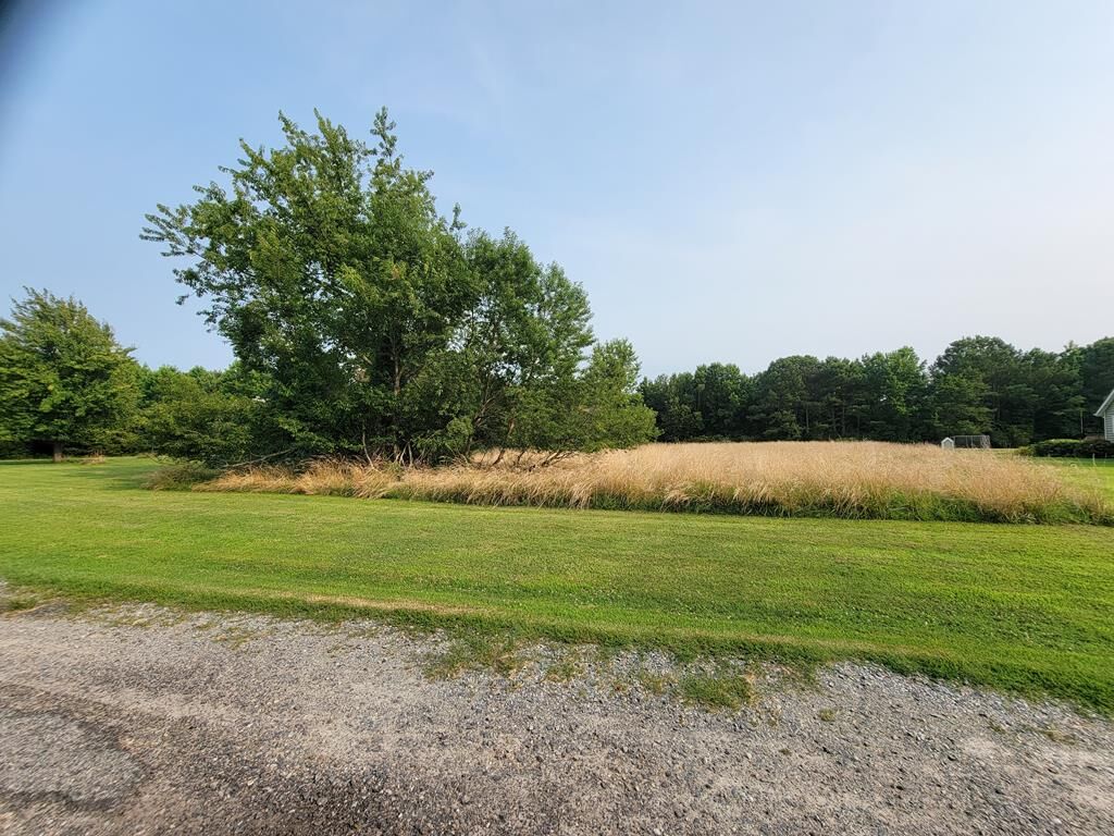 Property Photo: Lot 41 Henrys Point Ln VA 23301