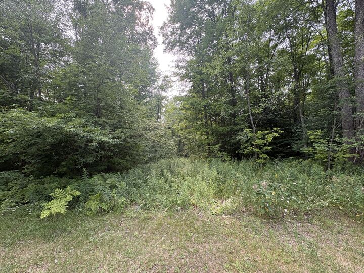 Property Photo: 000 County Road 447 MI 49868