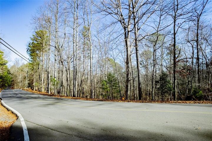 Property Photo: 0 Newport Drive GA 30540
