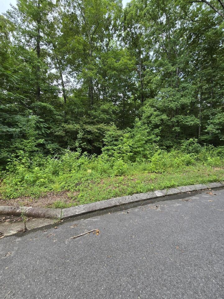 Property Photo: Lot 142 Lower Brow Road TN 37327