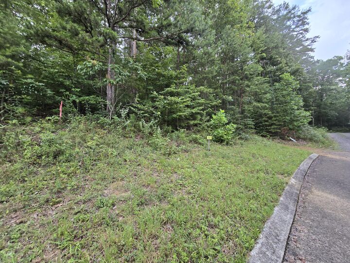 Property Photo:  Lot 157 Lower Brow Road  TN 37327 