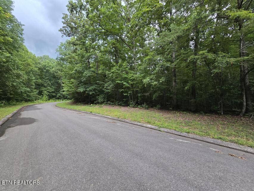 Property Photo:  Lot 140 Lower Brow Rd  TN 37327 