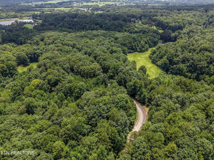 Property Photo:  Lot 133 Lower Brow Rd  TN 37327 