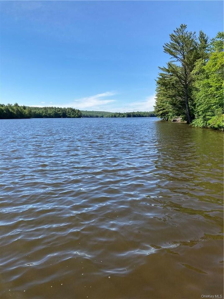 Property Photo:  Plank Road  Forestburg New York  NY 12777 