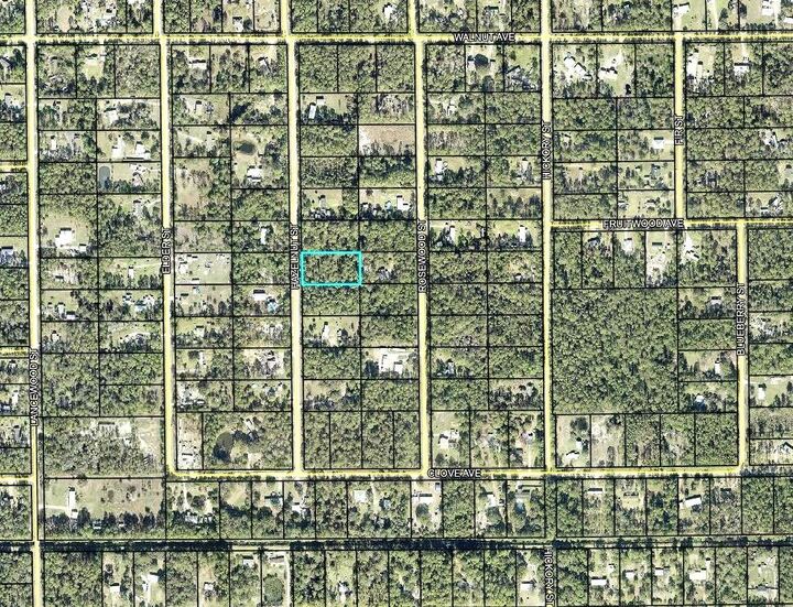 Property Photo: 2185 Hazelnut Street FL 32110