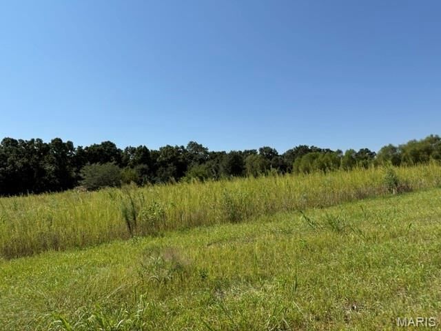 Property Photo: 0 Lot 10 Mikathric Estates MO 63383