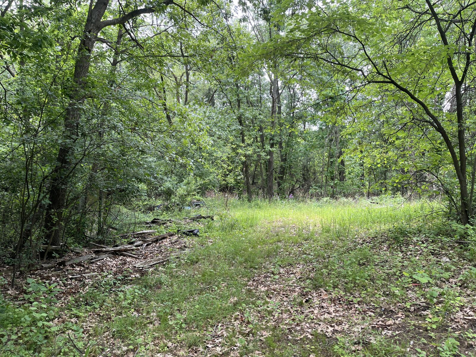 Property Photo:  129 Fox Avenue  MI 49037 