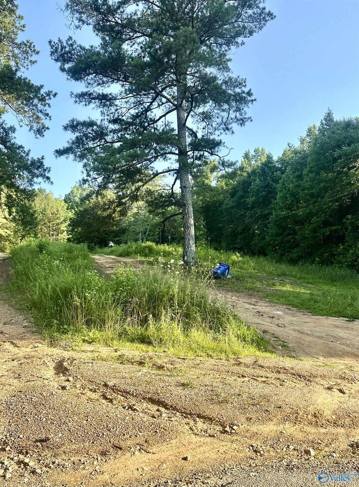 Property Photo:  3707 Vaughn Road  AL 35952 