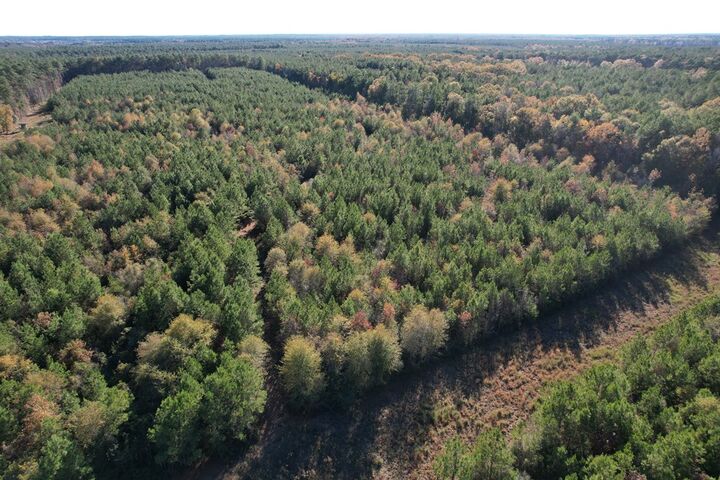Property Photo: 1729 Neal Road TX 75949