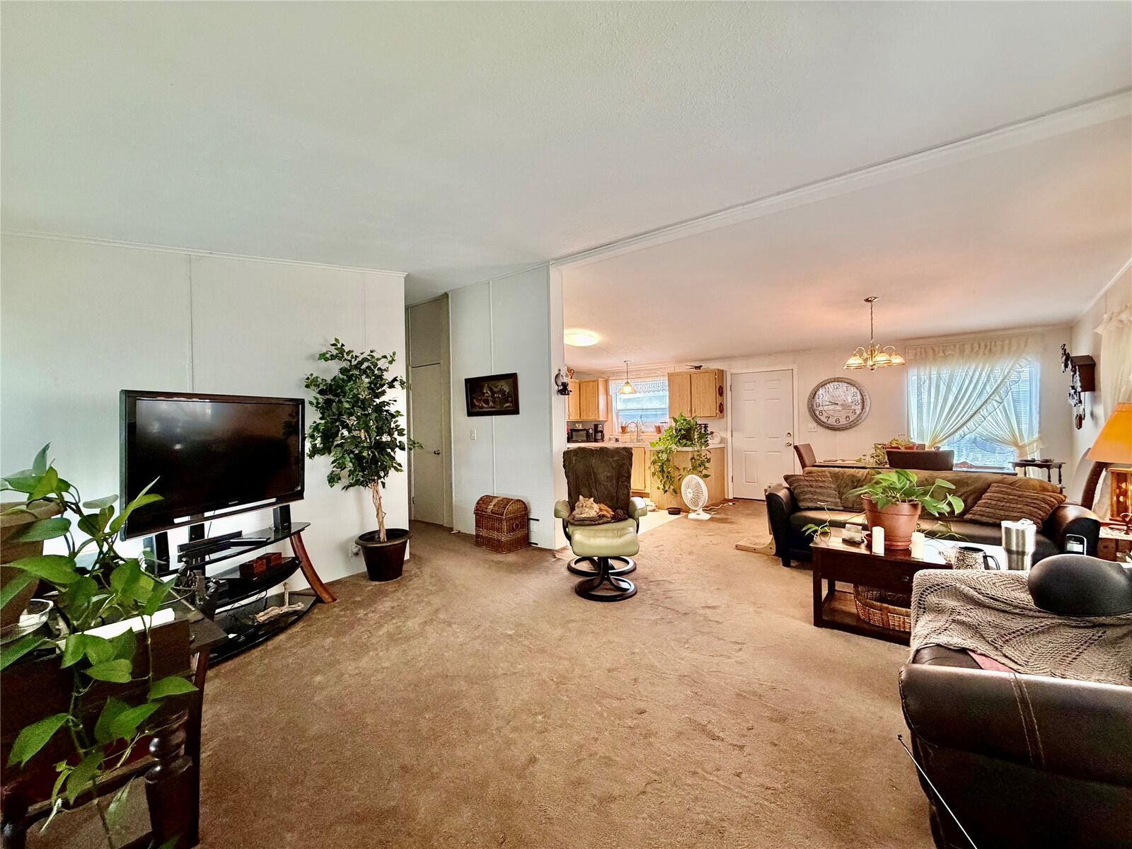 Property Photo:  6010 Lebeau Drive  MT 59808 