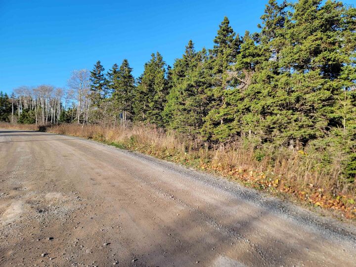 Bona Road — photo 1