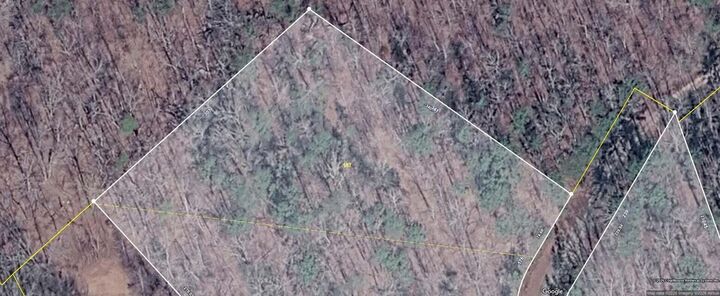 Property Photo: Lot 157 Lower Brow Road TN 37327