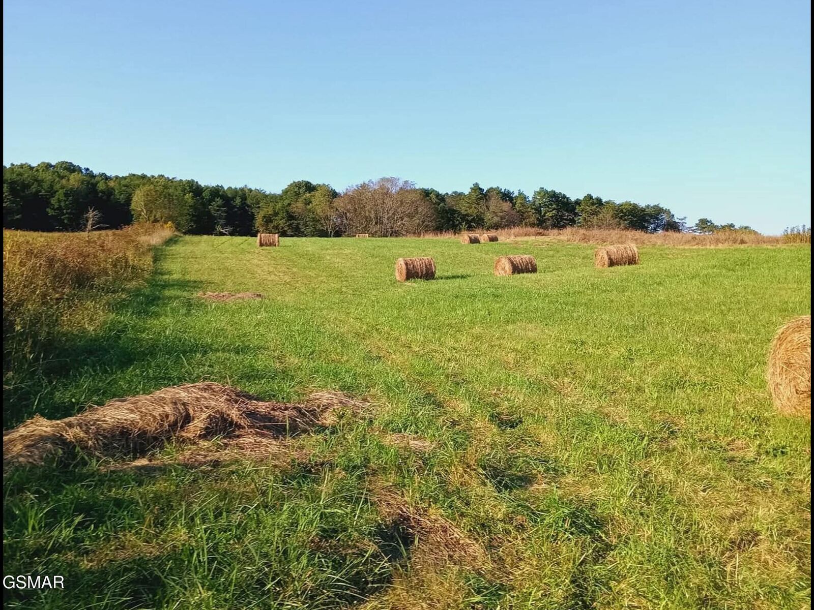 Property Photo: 436 Thorngrove Pike TN 37764