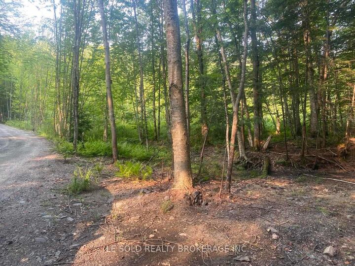 Property Photo:  1310 Camel Lake Road Lot # 7  ON P1L 1X4 
