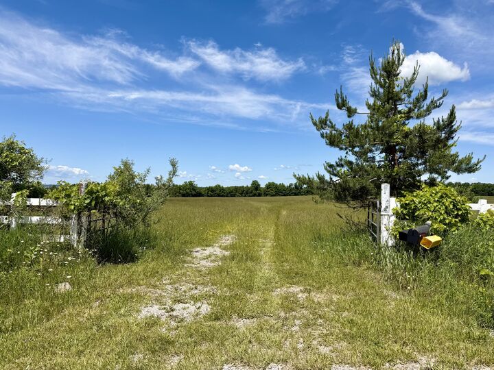 Property Photo: 1321 Pioneer Road MI 49721