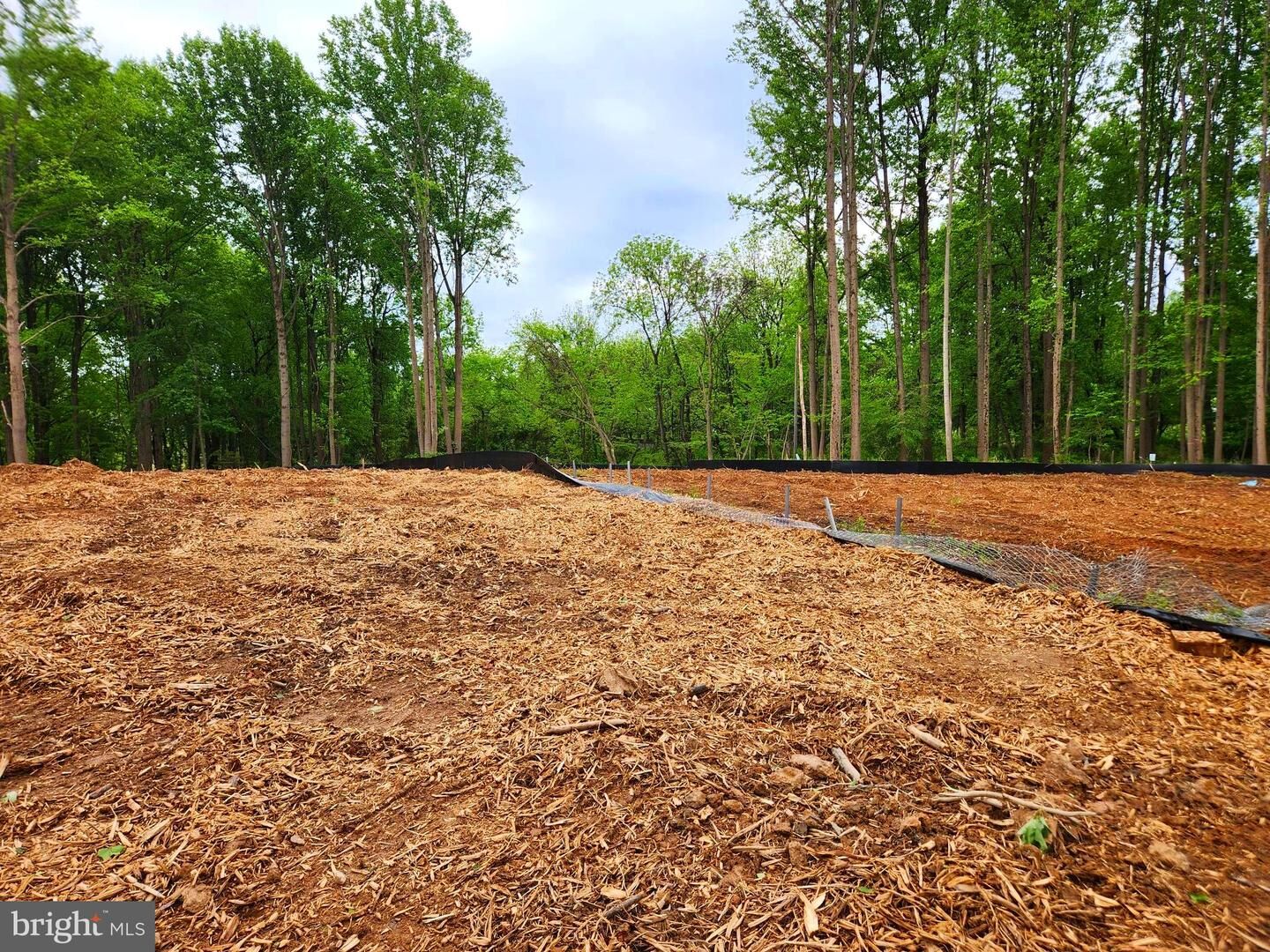 Property Photo:  Brighton Dam Road  MD 21029 
