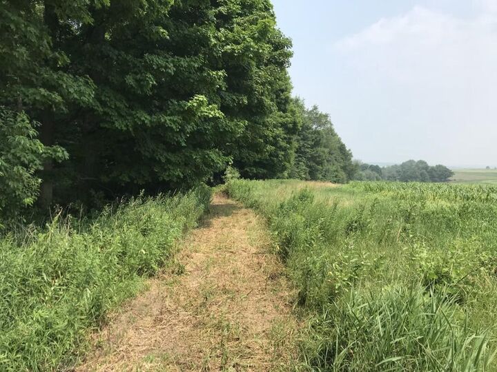 Property Photo: 10 Acres Lincoln Drive 139054 WI 54411