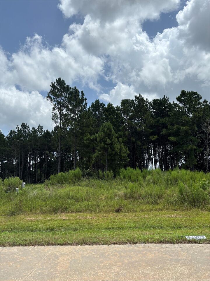 Property Photo: 9056 Road 5503 TX 77327