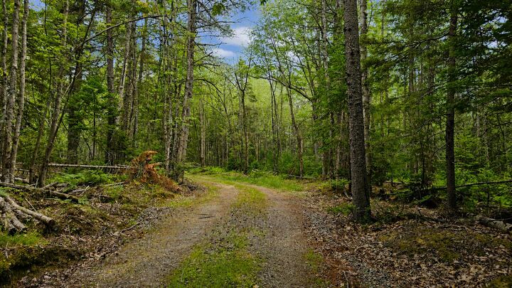 Property Photo:  Lot 42 Colby Road  ME 04578 