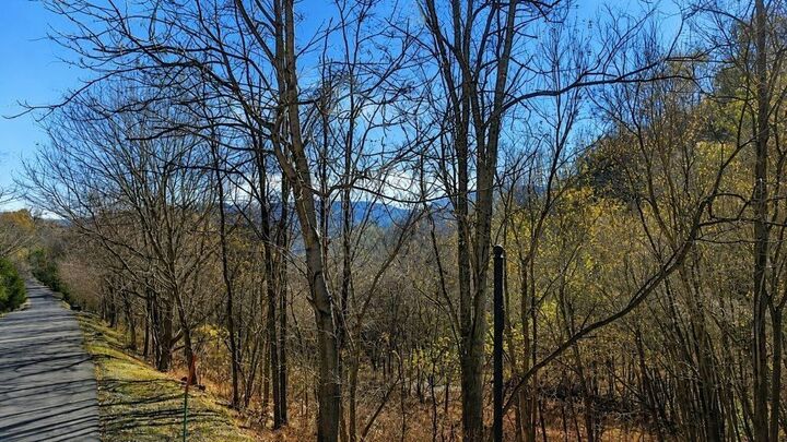 Property Photo: 0 Blackberry Ridge Way TN 37166