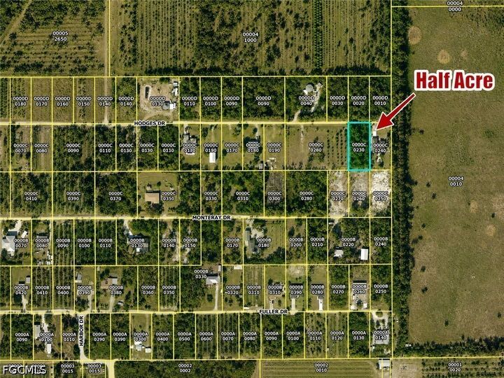 Property Photo:  6207 Hodges Drive  FL 33922 