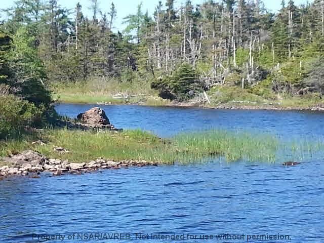 Property Photo:  Lot 12A East Side Grand River Road  NS B0E 1M0 