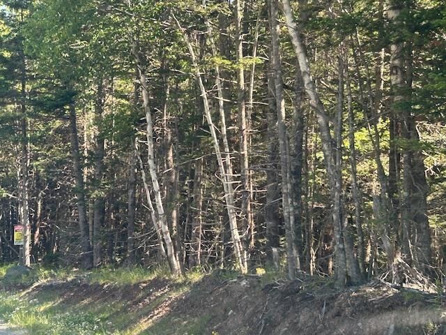 Property Photo:  Lot 4 890 West Side Loch Lomond Road  NS B0A 1H0 