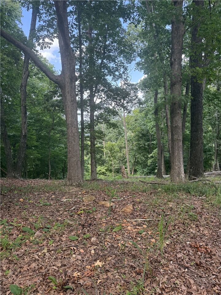 Property Photo:  Lot 21 Mundell Road  AR 72631 