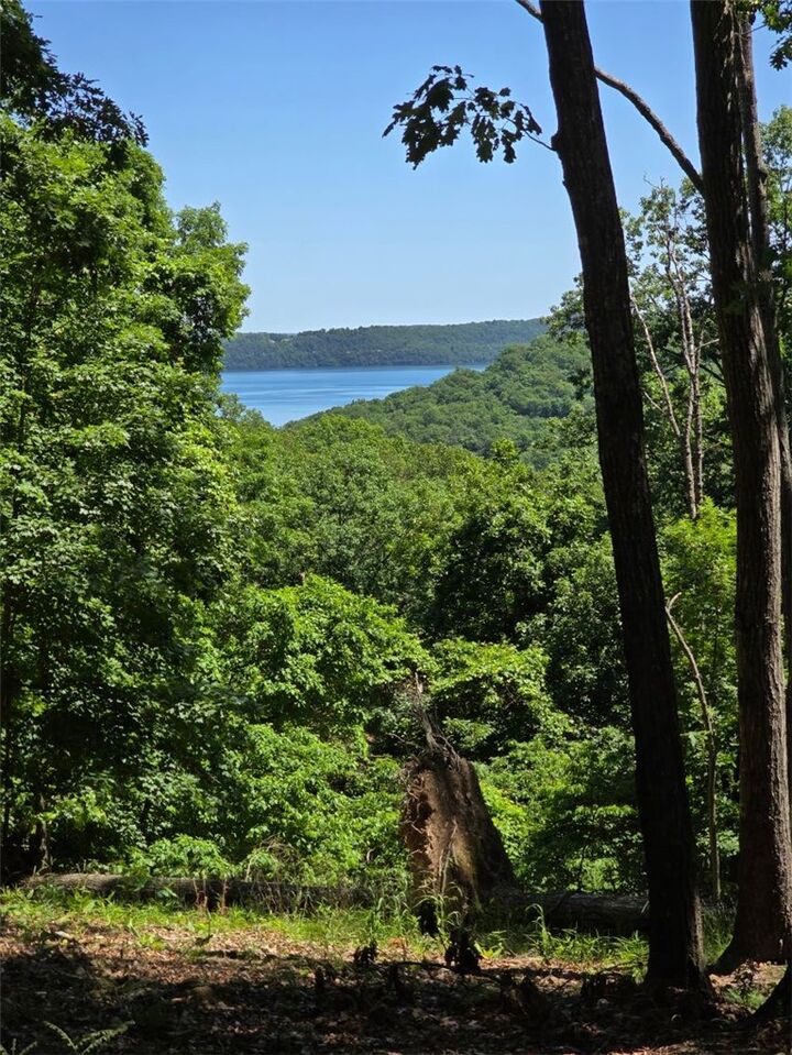 Property Photo:  Lot 21 Mundell Road  AR 72631 