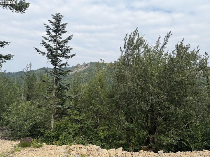 Property Photo:  0 Snag Mountain Rd 112  WA 98671 