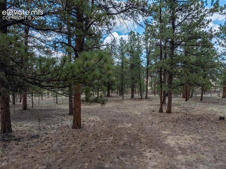 Property Photo: 41 & 73 Ingels Drive CO 80816