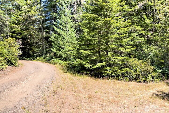 Property Photo:  0 NE Eagle Creek Lane  WA 98528 