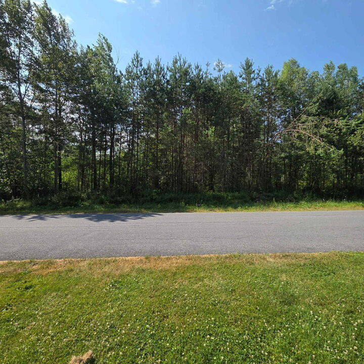 Property Photo:  17 Pinewood Drive  NY 12972 