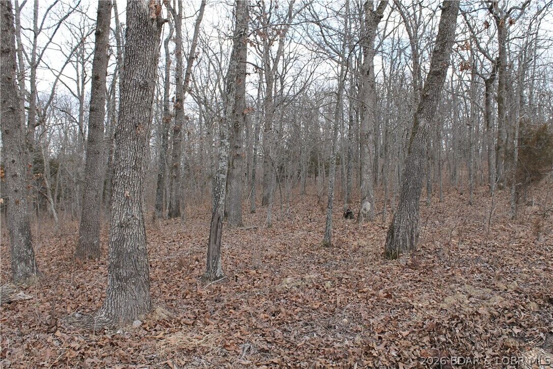 Property Photo: Kip Drive 1632 MO 65326