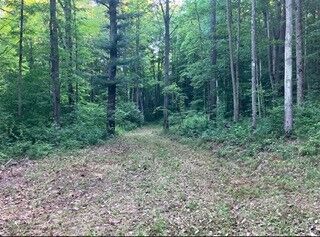 Property Photo: 0 County Rd 13 Van Etten NY 14889