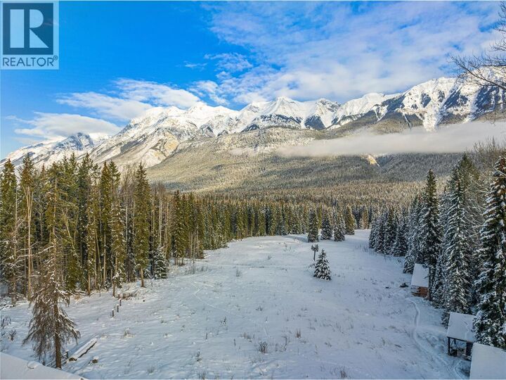 Property Photo:  4227-4233 Beaverfoot Forest Service Road  BC V0A 1H0 