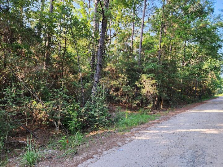 Property Photo:  135 Arborcrest Drive  TX 75931 