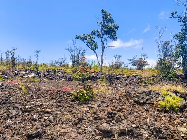 Property Photo:  Pineapple Pkwy  HI 96737 