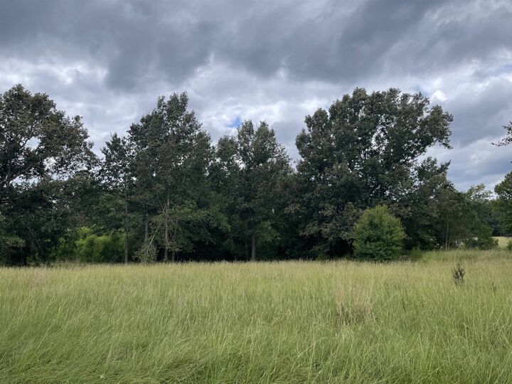 Property Photo: Tbd Fm 1970 TX 75633