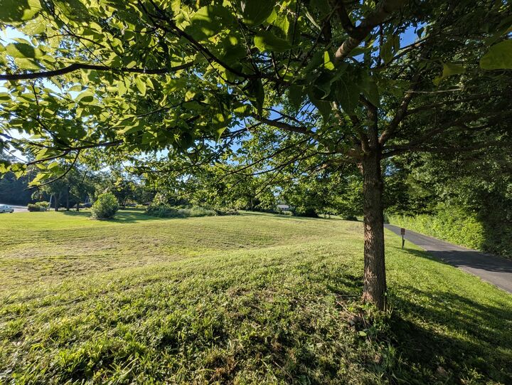 Property Photo: 13131 Steeplechase Drive IL 60451