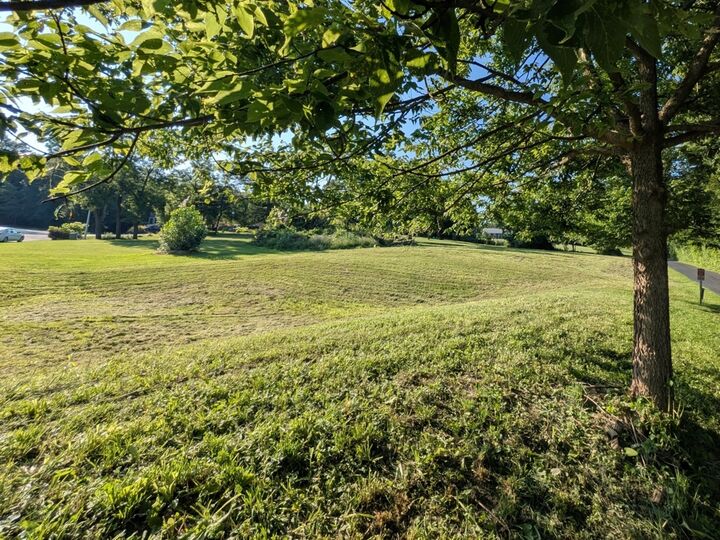 Property Photo:  13131 Steeplechase Drive  IL 60451 
